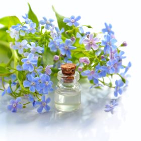 home fragrances and essential oils
