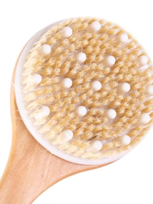 body brush for shower closeup head