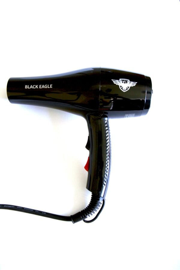 Black Eagle professional Blow Dryer