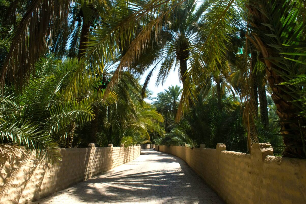 Al Ain Oasis history of the UAE national day